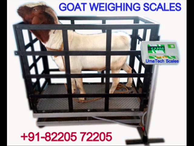Tamil Nadu Veterinary And Animal Weighing Scales